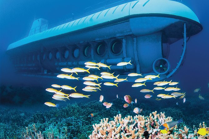 Atlantis Submarine From Kona Beach - Customer Reviews and Feedback