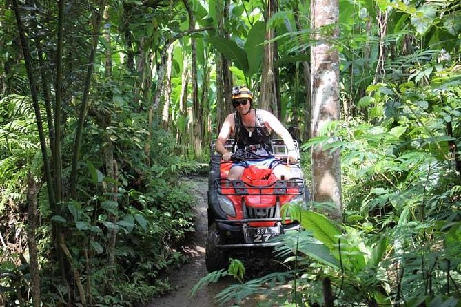 ATV Tour With Monkey Forest Experience in Bali - Sightseeing Highlights