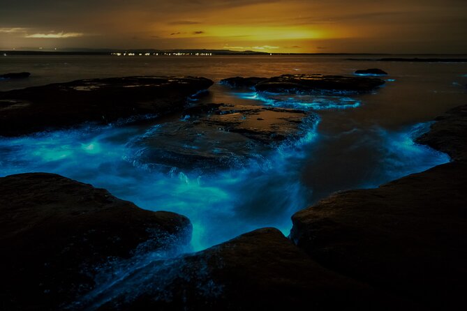 Auckland Bioluminescence Kayak Tour - Cancellation Policy