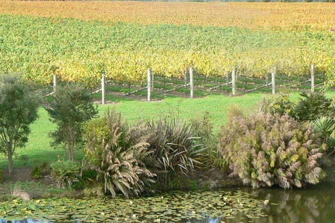 Auckland Shore Excursion: West Coast Wineries Tour - Common questions