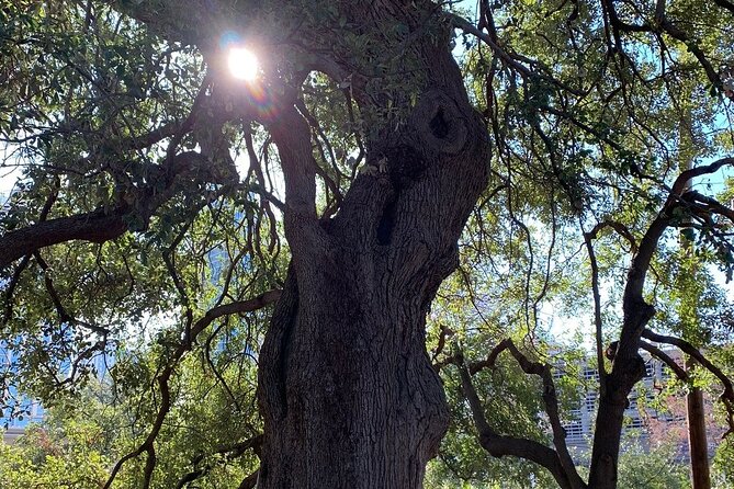 Austin Icons Bicycle Tour - Additional Tour Information