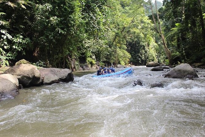 Bali ATV Ride Adventure & White Water Rafting With All-Inclusive - Reviews and Ratings Overview