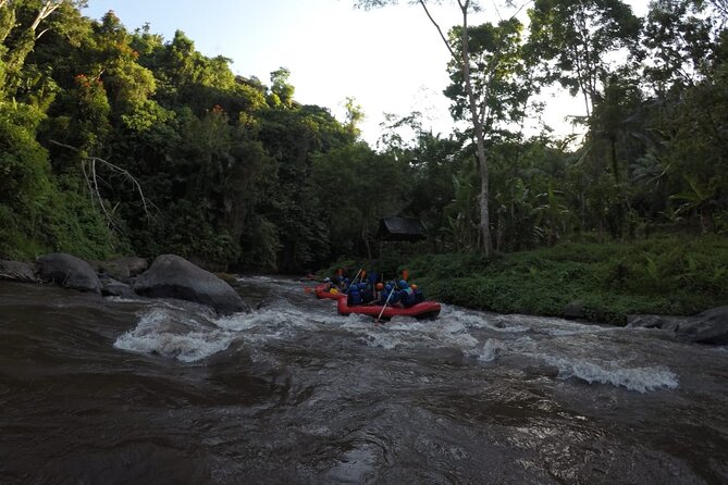 Bali Ayung River Small-Group Whitewater Rafting Tour  - Ubud - Common questions