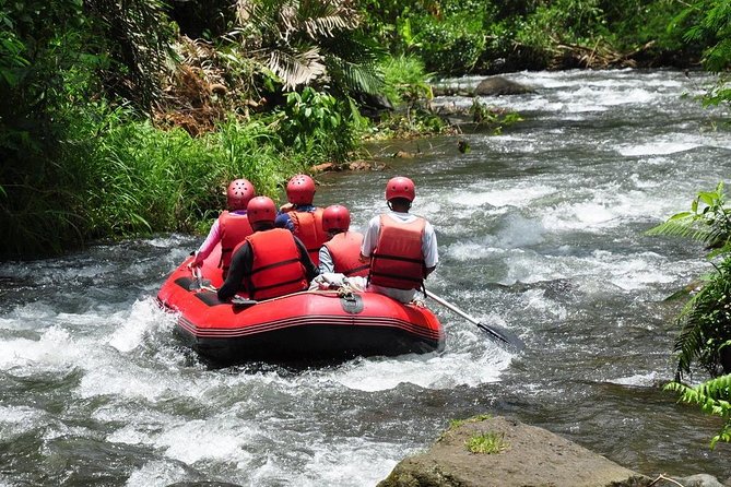 Bali Ayung River White-Water Rafting With Lunch  - Ubud - Common questions