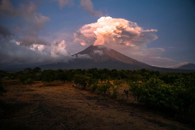 Bali Breathtaking Waterfall Tour (Private & All-Inclusive) - Contact and Support