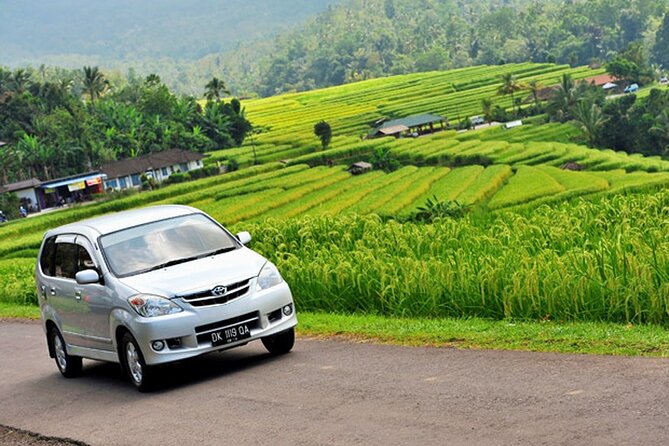 Bali Car Hire With Driver - Traveler Photos and Reviews