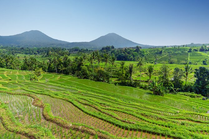 Bali Charm: Full-Day Bedugul and Tanah Lot Tour (UNESCO) - All Inclusive Tickets - Tour Guide Information