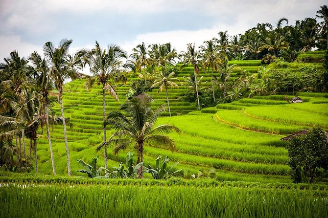 Bali Cheap Tour Packages 3 Days - Sum Up