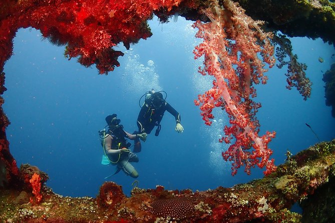 Bali Diving for Beginners: Tulamben Liberty Wreck - Expectations and Requirements