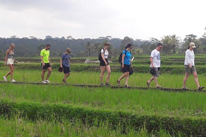 Bali Eco & Educational Cycling Tour - Cancellation Policy