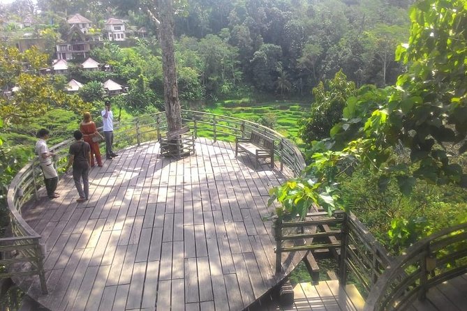 Bali Hindu Temple, Rice Terrace, Waterfall With Lunch - Waterfall Adventure