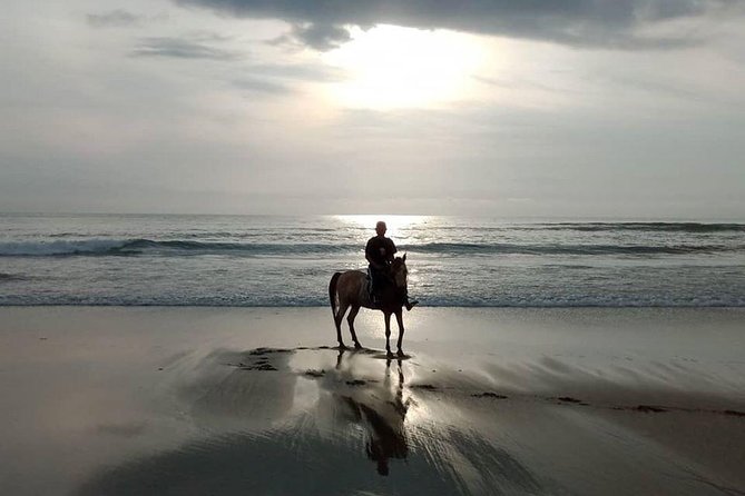 Bali Horse Riding in Seminyak Beach Private Experiance - Additional Information