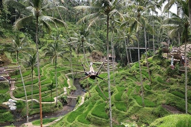Bali Jungle Swing & Ubud Tour - Booking Information
