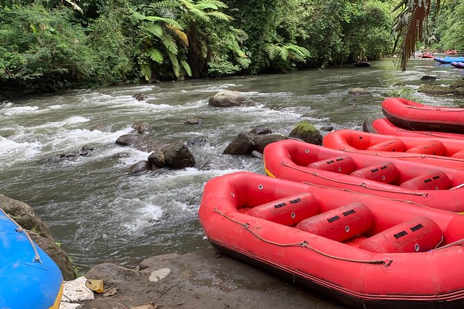 Bali Jungle White Water Rafting Adventure - Cancellation Policy and Highlights