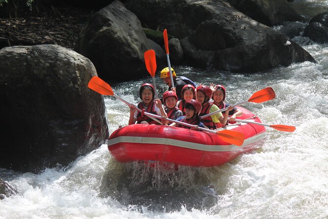 Bali Rafting Package and Bali Ubud Private Tour Bali Driver - Sum Up