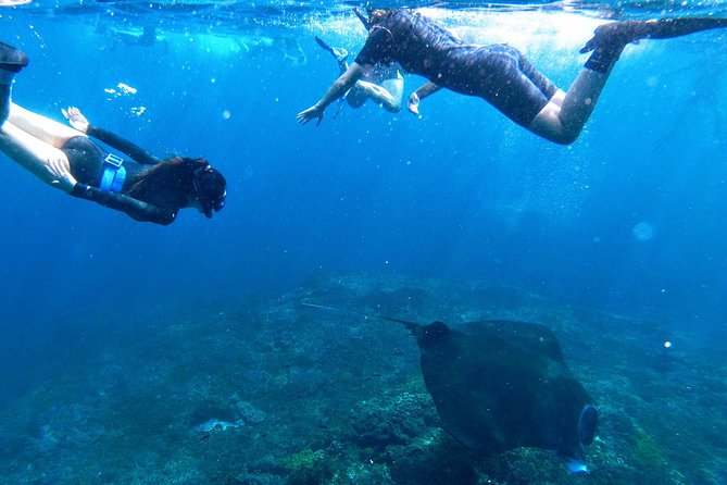 Bali Scuba Diving at Nusa Penida Manta Point For Certified Diver - Weather Dependence and Rescheduling