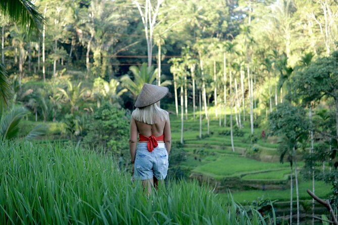 Bali Waterfall Tour: Discover Natures Hidden Gems - Unveiling Balis Enchanting Waterfall Wonders
