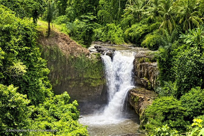 Bali Waterfalls and Swing: Full-Day Private Tour  - Ubud - Additional Details