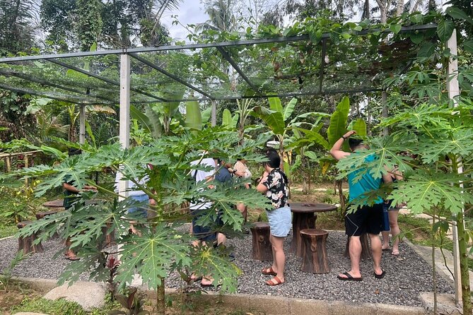 Balinese Cooking Class With Traditional Market Tour - Cancellation Policy