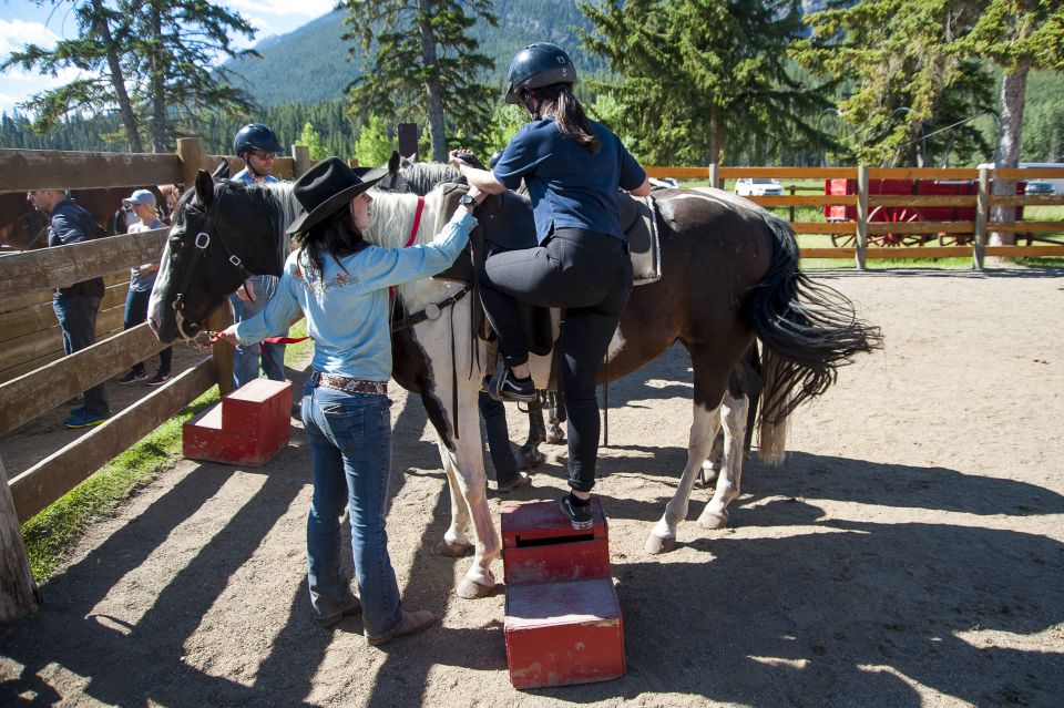 Banff: 3-Hour Bow Valley Loop Horseback Ride - Customer Reviews