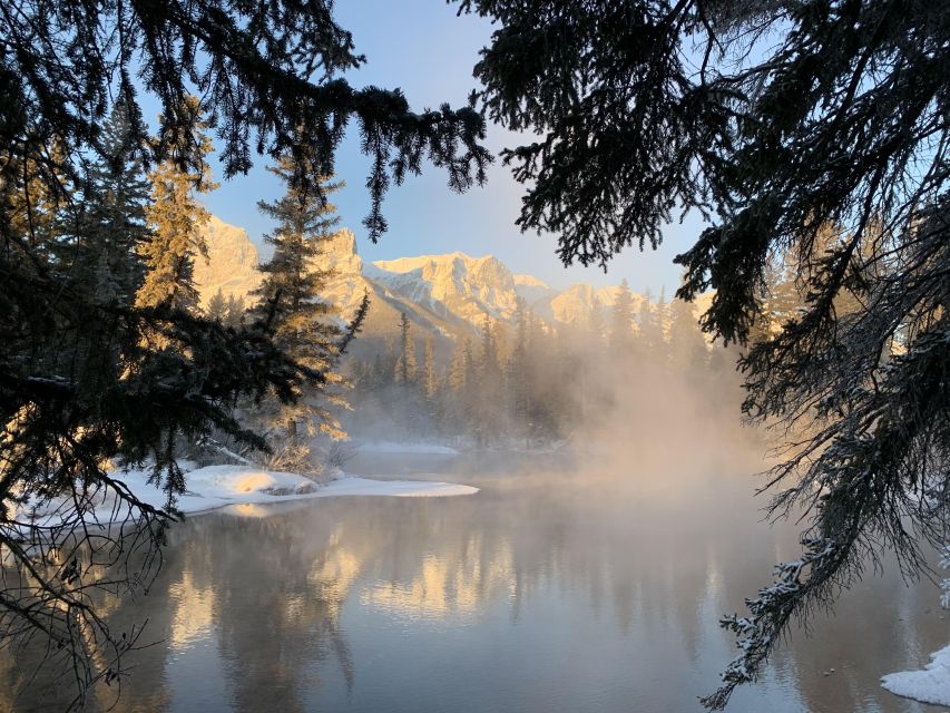 Banff: Best of Banff Nature Walk - 2hrs - Customer Reviews