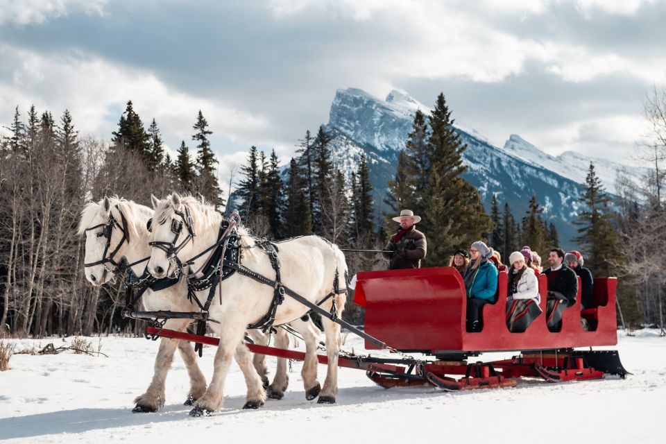 Banff: Family Friendly Horse-Drawn Sleigh Ride - Review Summary
