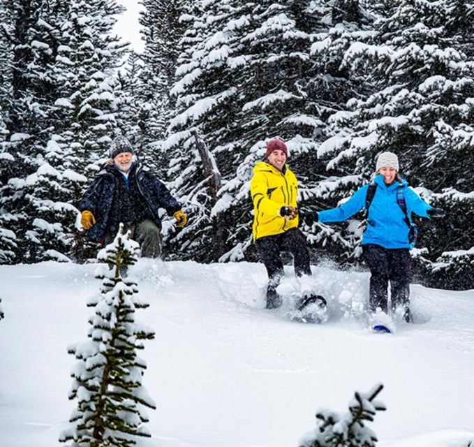 Banff/Jasper: Canadian Rockies Helicopter & Snowshoe Tour - Important Information