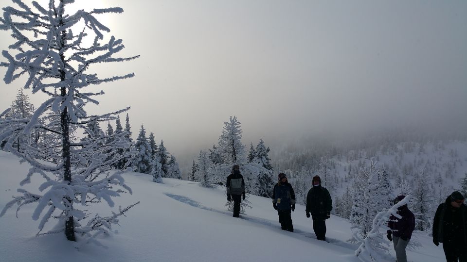 Banff National Park: Sunshine Meadows Snowshoeing Experience - Additional Information
