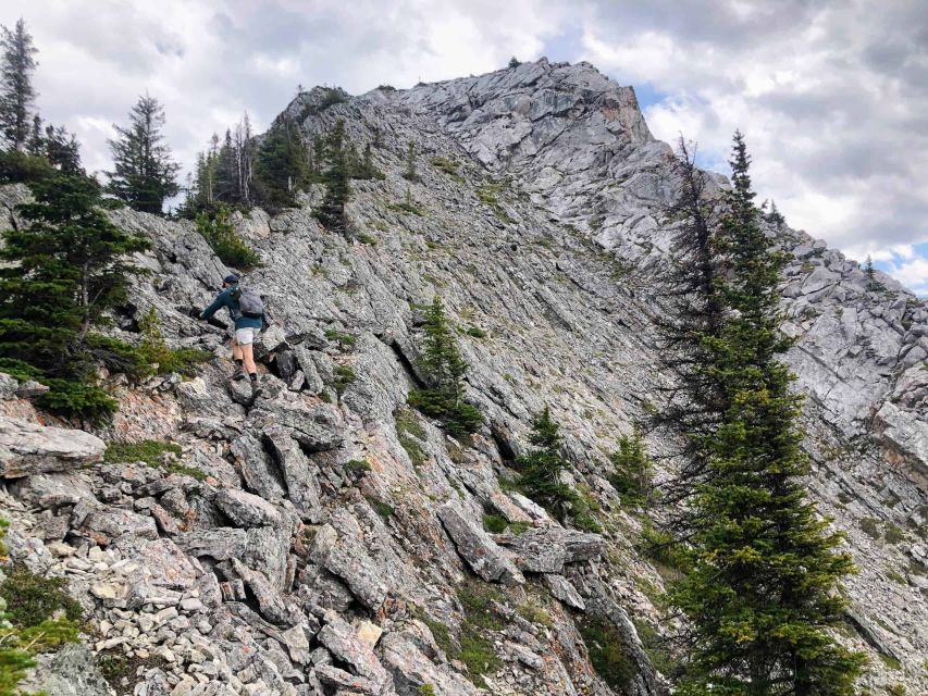 Banff: Sulphur Mountain Guided Hike - Additional Details