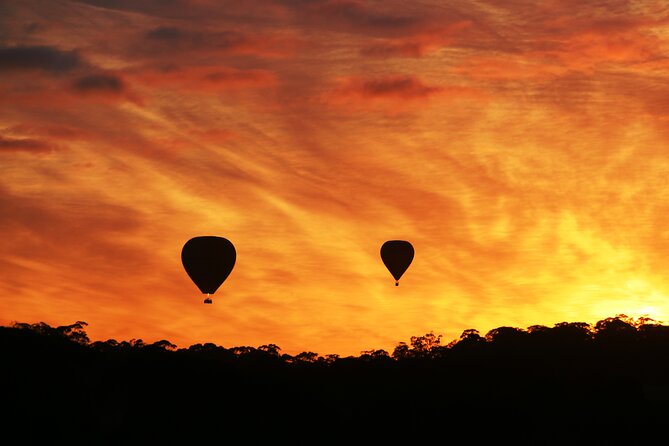 Barossa Valley Hot Air Balloon Ride With Breakfast - Reviews From Viator Travelers