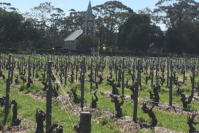 Barossa Valley Private Luxury Tour - Reviews and Pricing