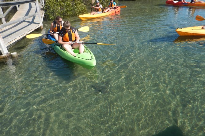 Batemans Bay Glass-Bottom Kayak Tour Over 2 Relaxing Hours - Cancellation Policy