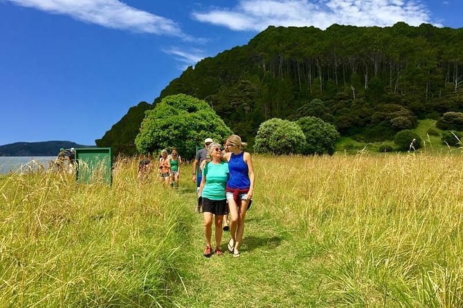 Bay of Islands Cruise & Island Tour - Snorkel, Hike,Swim,Wildlife - Exciting Excursion Activities