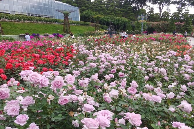 Beartree Park With Admission Ticket to Arboretum in Sejong - Tips for Visiting Beartree Park