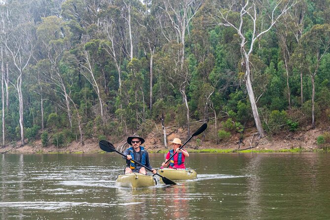 Bega River Kayaking Tour - Wildlife Spotting Tips