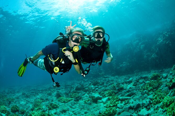 Beginner Scuba Diving Tour With Videos-Pcb