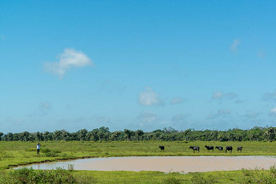 Belém: 2, 3 or 4-Day Marajó Island Excursion With Lodging - Visit Highlights and Cultural Learning