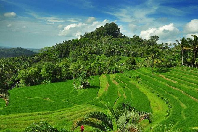 Besakih and Semarapura Private Tour With Edelweis Garden  - Kuta - Customer Support