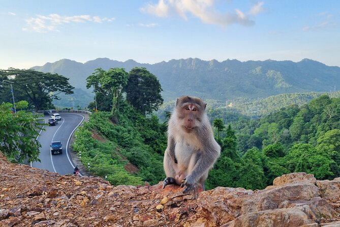 Best Lombok Rice Terrace Walking Tour With Waterfall & Monkey - Pricing and Inclusions Breakdown