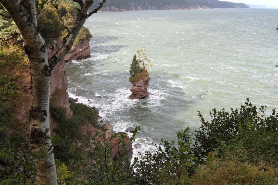 Best of Hopewell Rocks & Fundy National Park From Moncton - Logistics and Directions