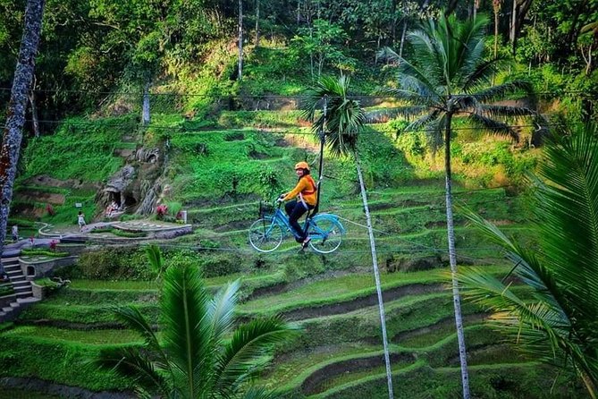 Best of Ubud - Full Day Tour FREE WI-FI - Scenic Stops