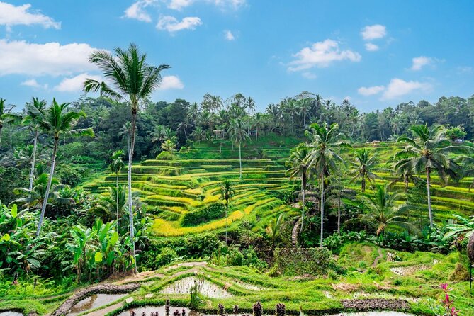 Best of Ubud Full-Day Tour With Entry Tickets - Common questions