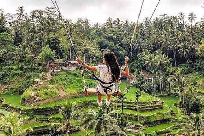 Best of Ubud Tour With Jungle Swing Private and All Inclusive - Round-trip Transfers