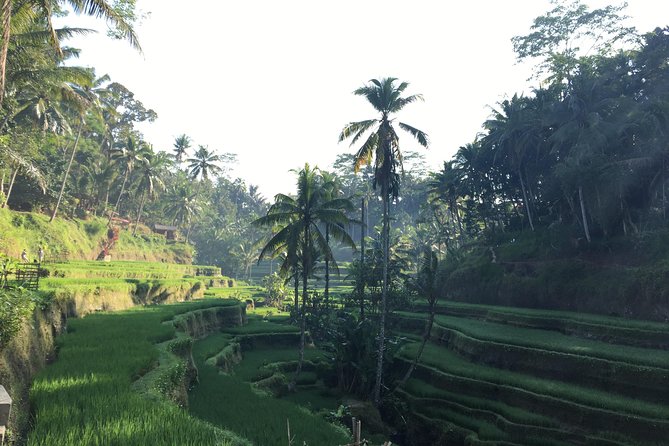 Best of Ubud Waterfalls, Tegalalang Rice Terrace and Swing Tour - Additional Information