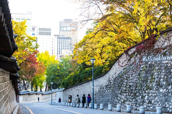 Best View Seoul Autumn Foliage Tour - Booking Information