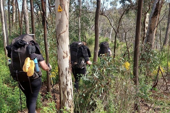 Bibbulmun Track Multi-Day Hike and Camp to the Darling Range - Safety Tips