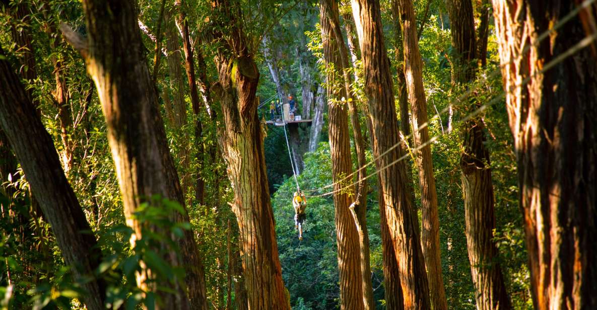 Big Island: 3-Hour Kohala Canopy Zipline Adventure - Adventure Details