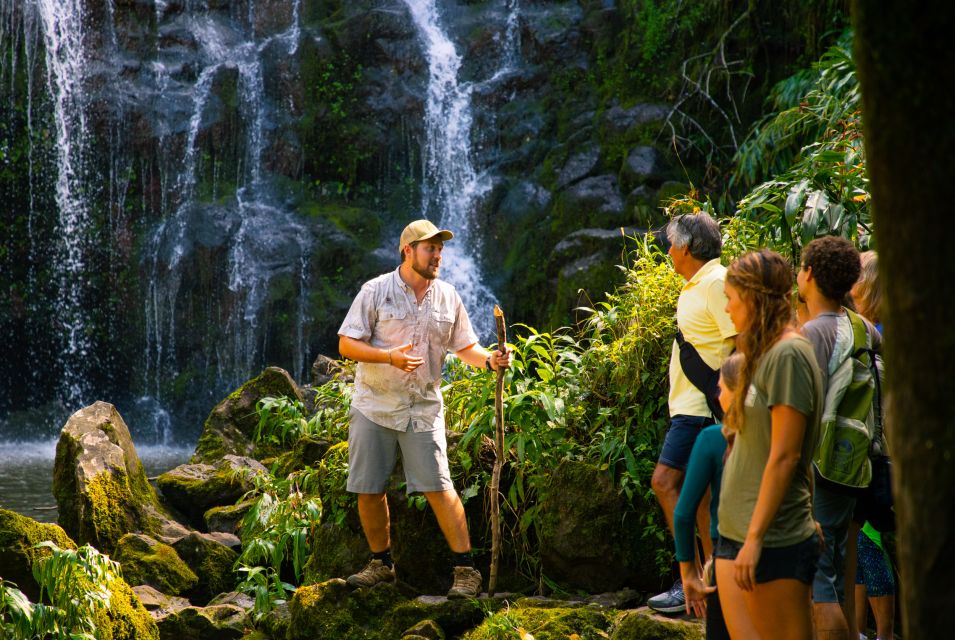 Big Island: Full Day Adventure Tour of the Kohala Waterfalls - Product Information