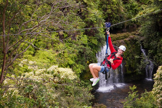 Big Island Zipline Over Kolekole Falls - Recommendations for Professional Guides