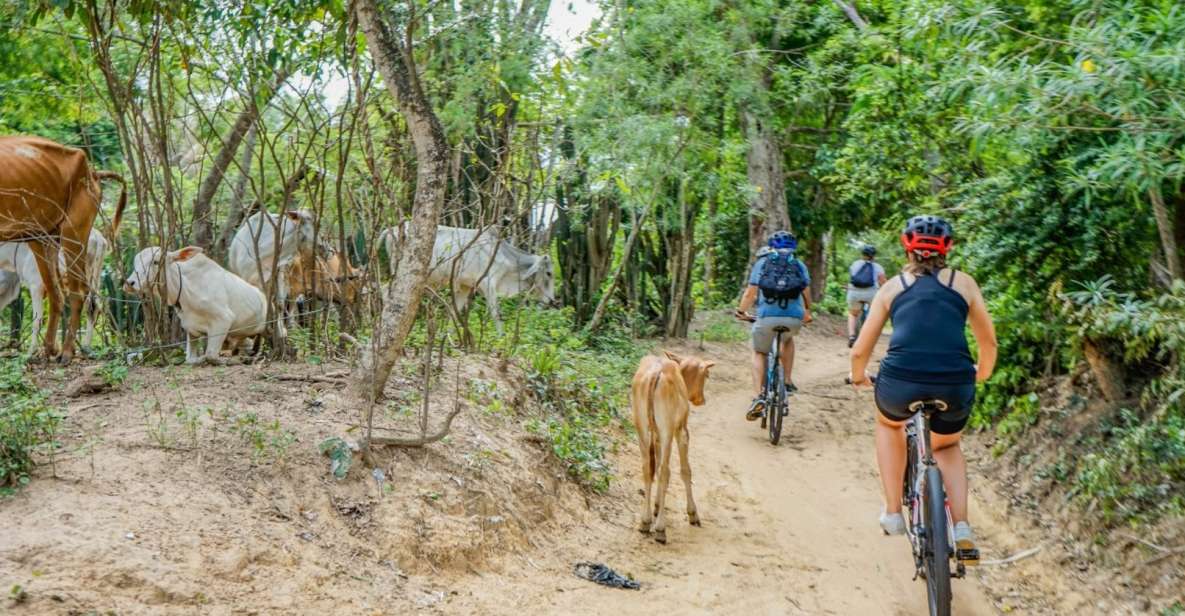 Bike Through Siem Reap Countryside With Local Guide - Additional Information